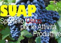 SUAP dell'Area del Vino Cesanese 